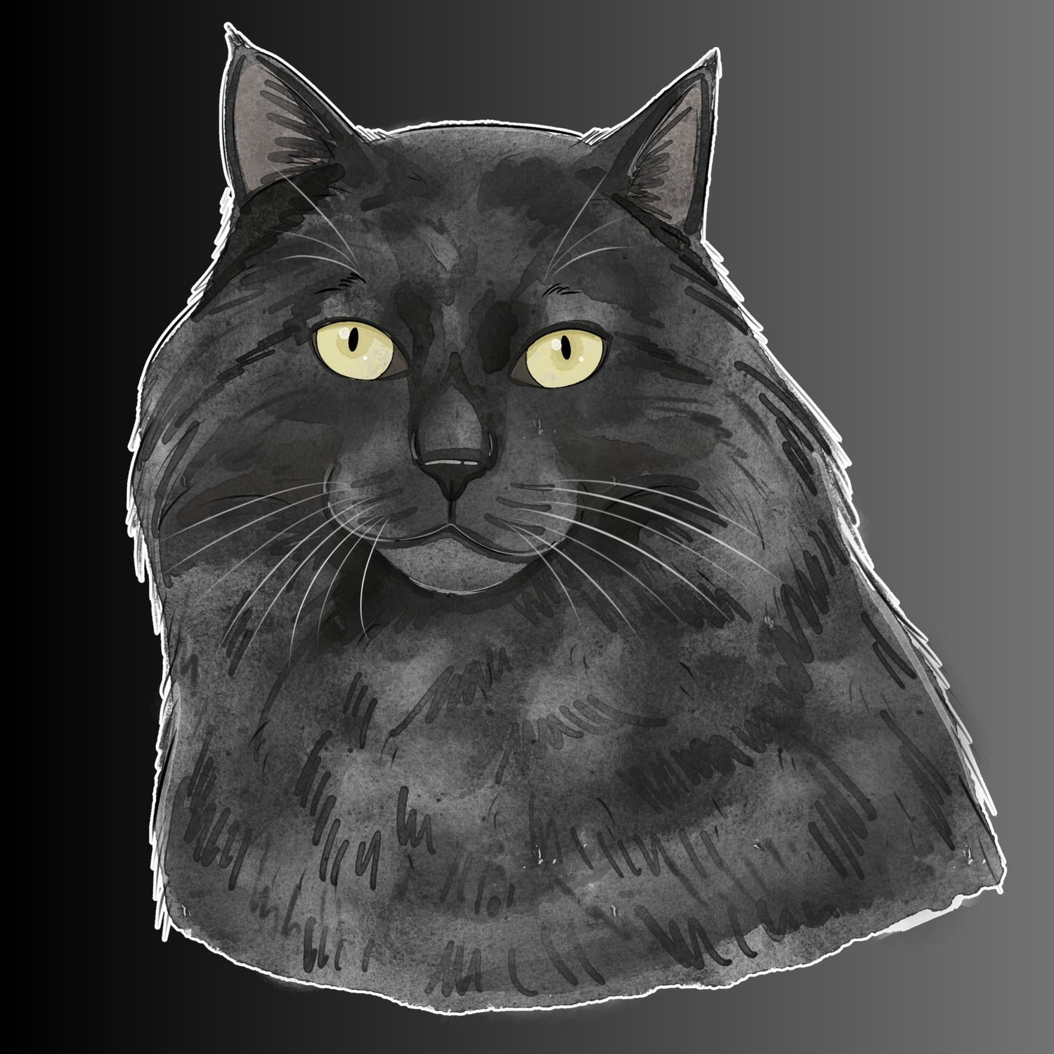 Señor de la Noche 🐈‍⬛ Collection